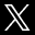 X公司
